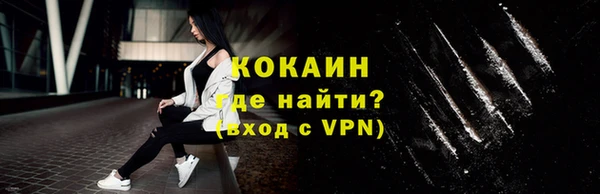 мет Няндома
