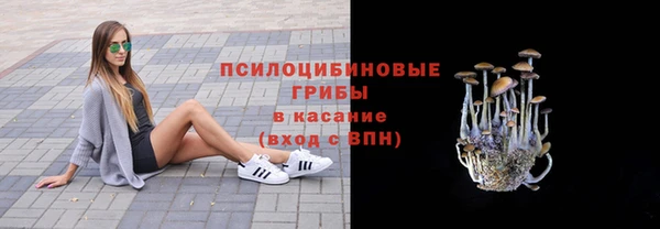 мет Няндома