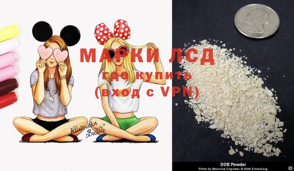 мет Няндома