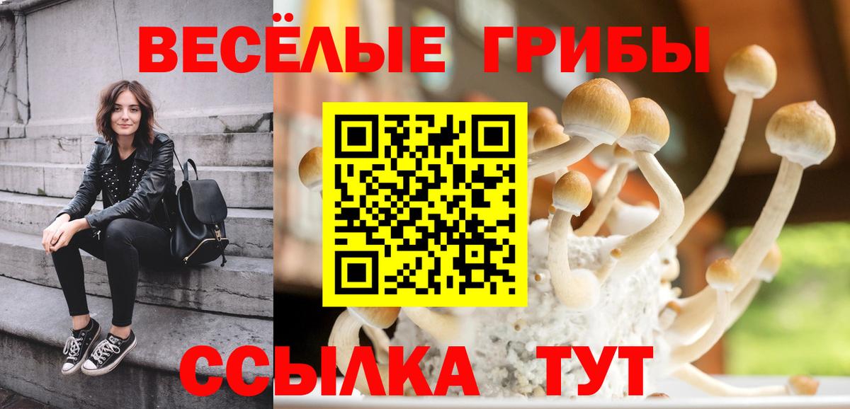 хочу   Чебоксары  Галлюциногенные грибы прущие грибы 