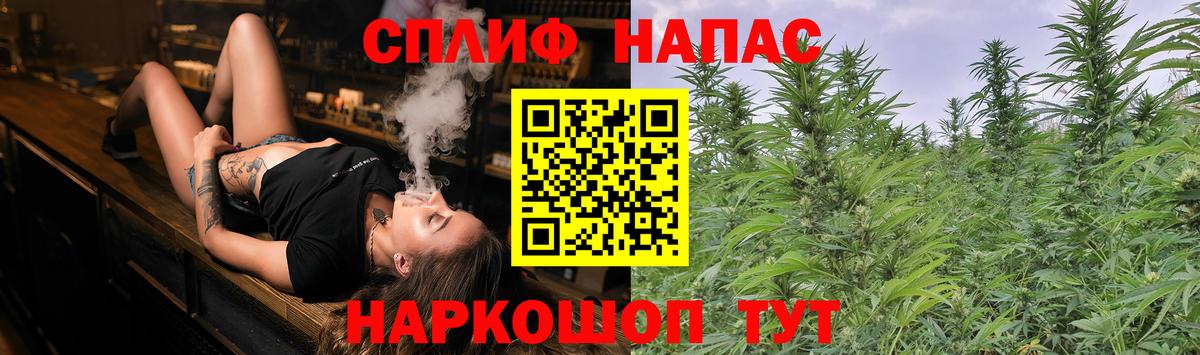 Бошки Шишки Amnesia Чебоксары